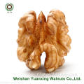 Hot Sale Goods Walnut Kernels Light Amber Helften (LAH)